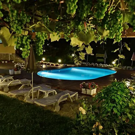 Family Iv Hotel Welingrad